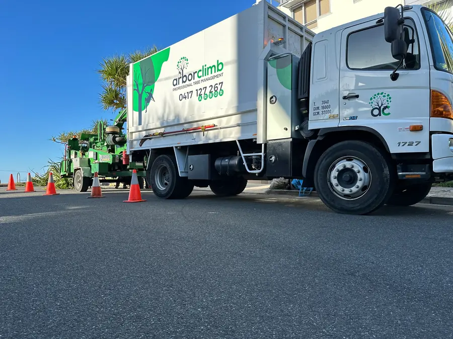 Arborclimb crew and equipment set up on a Sunshine Coast job site