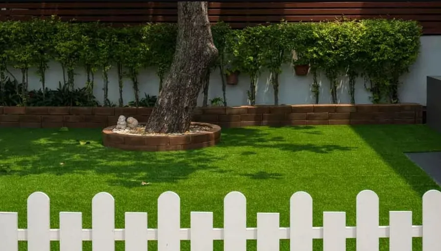 Neat garden with a shade tree and white picket fence in a Queensland backyard